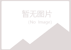 铁山港区夏岚咨询有限公司